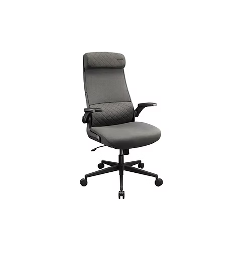 Cougar Stryder Gray Ergonomic Chair