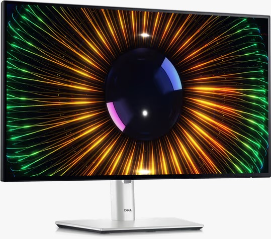 Dell 24